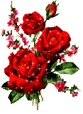 Arreglo de flores